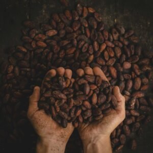 person holding dried beans