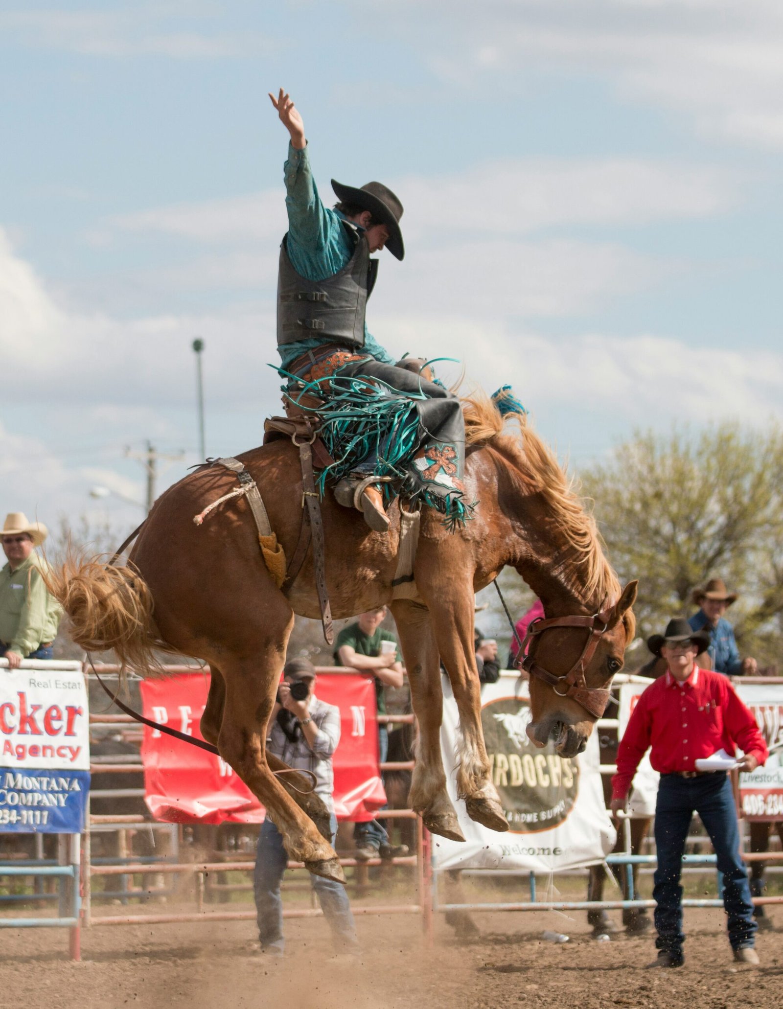 man riding brown horse during daytime